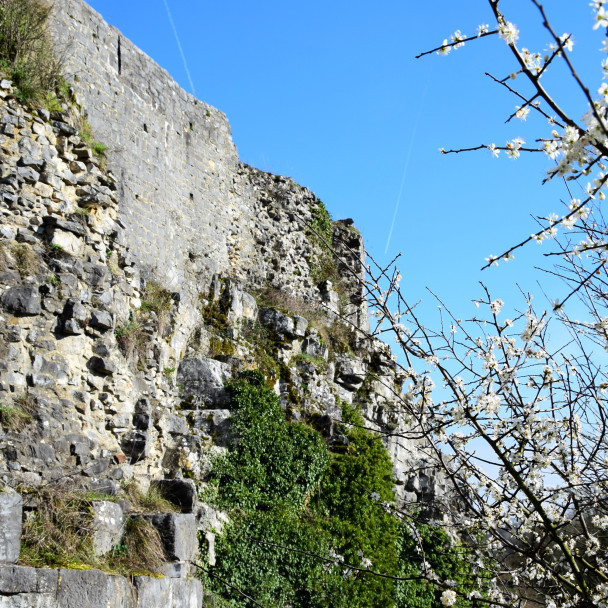 Une vue du château de Moha