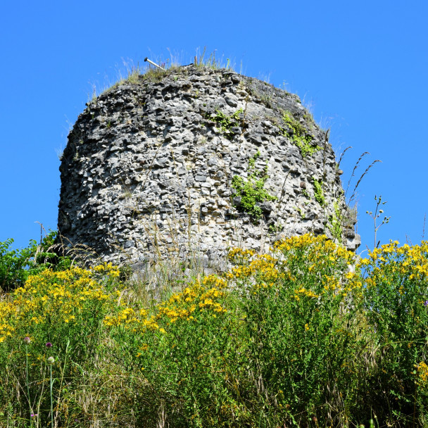 Vue d'une tour du château de Moha